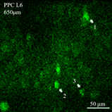 fa1453a700a7400cbccb7c8d2d972092.png image.png