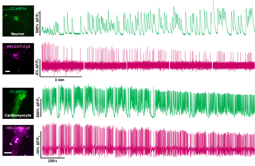 e4185e450ec7485d84dd1c843dc74e81.png 图片4.png