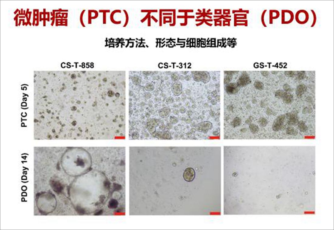 560eccd596364f26ae7b6015afbb667e.jpg 360截图20200625092716299_副本.jpg